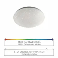 Paul Neuhaus led loftlampe stjernehimmel farveskift remote(ubrugt)