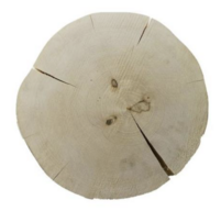 1 stk. Planke i Ask uden bark Diam 350 x H80 mm Unika