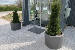 Krukke med juletræ SIRIUS