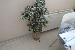 Div. Kunstige planter i vaser