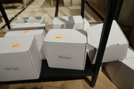 2 stk. lamp diffuser NO17 THERAPY