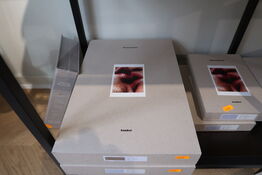 Dynebetræk MAGNIBERG Pure Sateen Clay