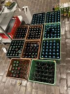 8 ks. blandet øl bl.a. ALBANI