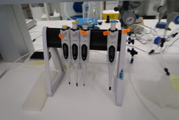 Stativ med 4 stk. pipetter SARTORIUS