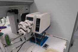 Slangepumpe LONGERPUMP WT600-1F-A