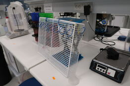 Laboratorie saksedonkraft