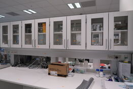 Div. Laboratorieglas og udstyr i overskabe