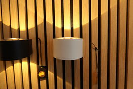 Udendørslampe RAY Væg Down Udendørs Hvid
