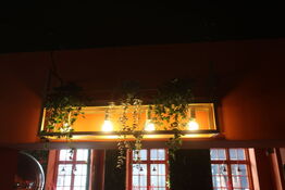 Loftslampe i indsats samt kunstige planter