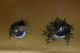 2 stk. planter i diskokugler