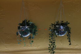 2 stk. planter i diskokugler