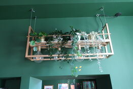 Loftslampe i indsats samt kunstige planter