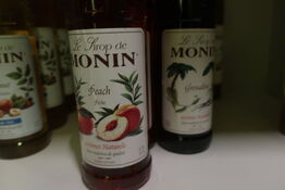 Div. Fl. Med sirup MONIN