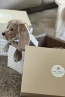 Tyngdepude HUND  NOU PETIT