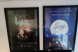 2 stk. indrammede plakater