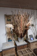 Spand med tørrede blomster