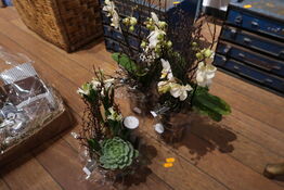 3 stk. planter i krukke