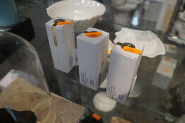 3 stk. Æterisk olie NO17 THERAPY