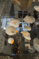 Kop, underkop, tallerken, m.v. CHRISTINA IVERSEN STUDIO MUSLING