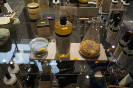 Diverse udstillingsprodukter