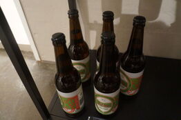 11 stk. Øl BIES BRYGHUS Div.