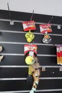 Diverse bolde samt legetøj KONG 