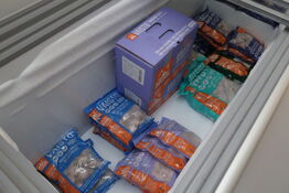 Diverse dyremad i kummefryser