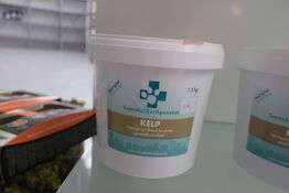 Kosttilskud til hund og kat KELP