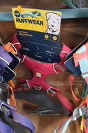 Hundesele RUFFWEAR