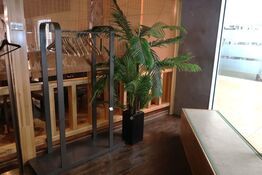 Tøjstativ og kunstig plante