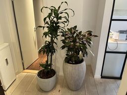 2 Planter