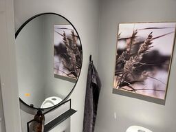 Toiletspejl, Billede, Knage, Hylde