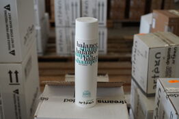 60 stk. ARTEGO Balance shampoo 250ml.