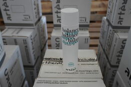 48 stk. ARTEGO Balance shampoo 250 ml.