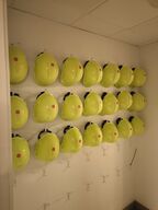 21 stk. Sikkerhedshjelme 3M