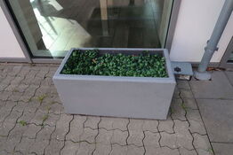 3 stk. planter i krukke