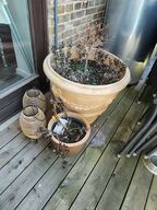 Krukker og lanterner udendørs 