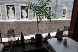 Div. Vaser, planter, pyntegenstande