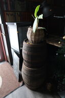 2 stk. vintønder samt plante