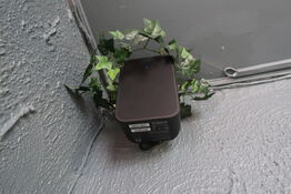 Trådløs højtaler BLUESOUND INTERNATIONAL Pulse Flex 2i