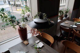 3 stk. pendler med div. Planter