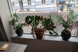 3 stk. vaser med div. Kunstige blomster