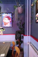 2 stk. planter i krukker