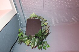 Trådløs højtaler BLUESOUND INTERNATIONAL Pulse Flex 2i