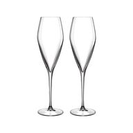 2 pk. Luigi Bormioli Atelier champagneglas Prosecco 2 stk. 27 cl
