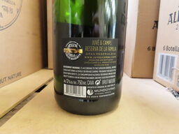 12 fl. cava, JUVE & CAMPS, Reserva De La Familia 2016