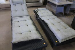 2 Havesenge + Hynder