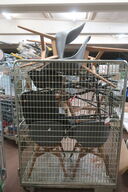 7 stk. stole og 4 barstole