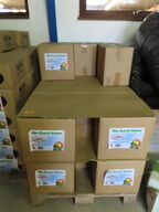 Parti Bio koral sten