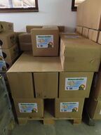 Parti østers skaller